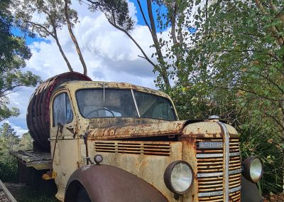 Southern Highlands Wine Tour