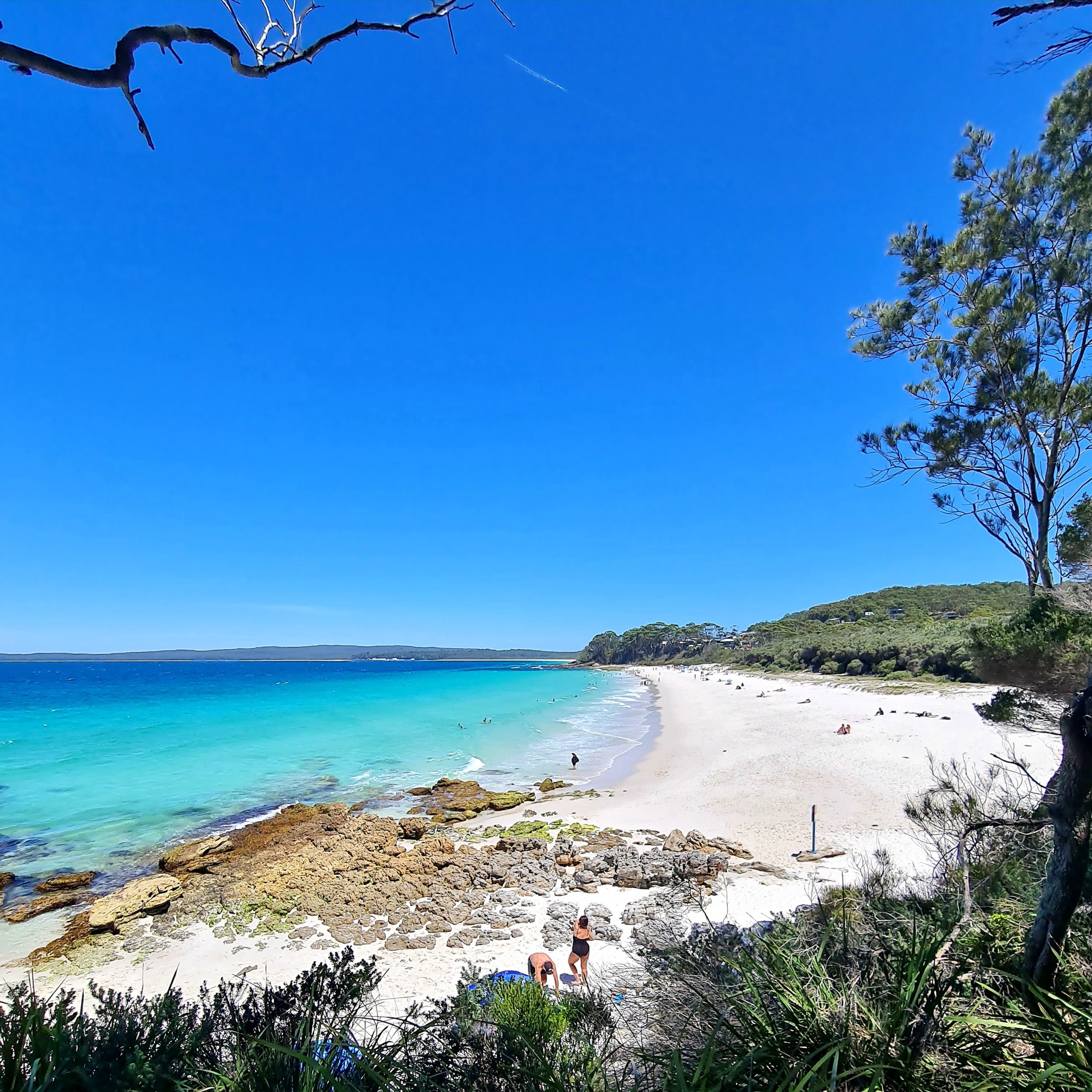 Jervis Bay Day Tour From Sydney Blue Mountains And Hunter Valley 