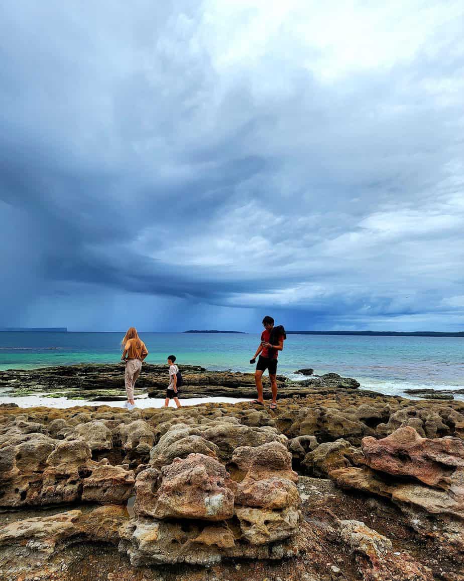 Jervis Bay Day Tour From Sydney Blue Mountains And Hunter Valley 