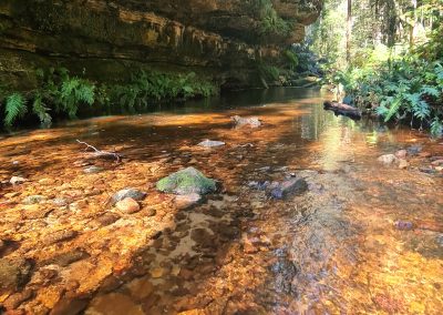 Blue Mountains Day Tour from Sydney with bus Coast Warriors